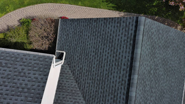 Best Green or Eco-Friendly Roofing Solutions  in Ponderosa Park, CO